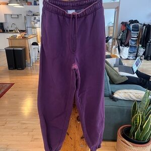 Aritzia Purple Jogger Pants